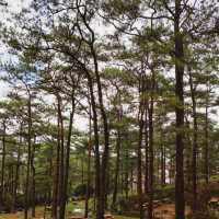 Burying Bad Vibes in Baguio City? 