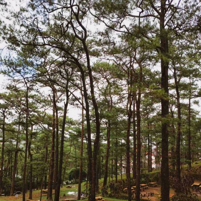 Burying Bad Vibes in Baguio City? 
