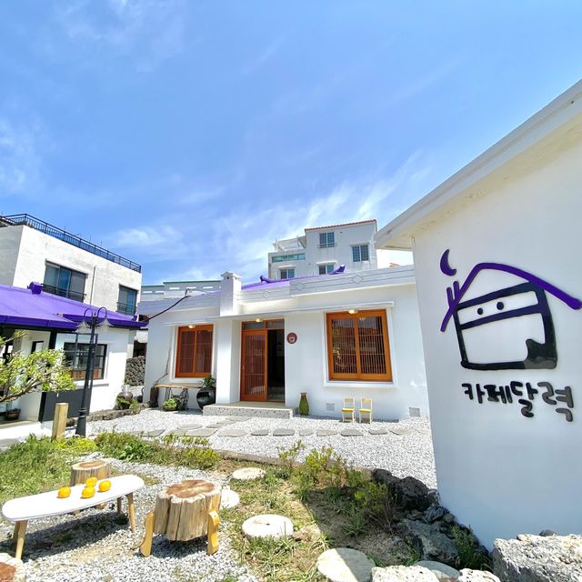 제주 분위기 뿜뿜한 애월 카페달력🍊🗓️