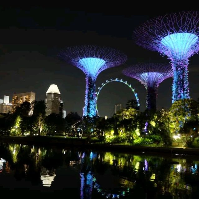 garden by the bay สิงคโปร์