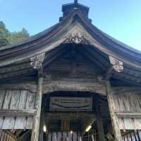 約3000本の樹林が色づく絶景