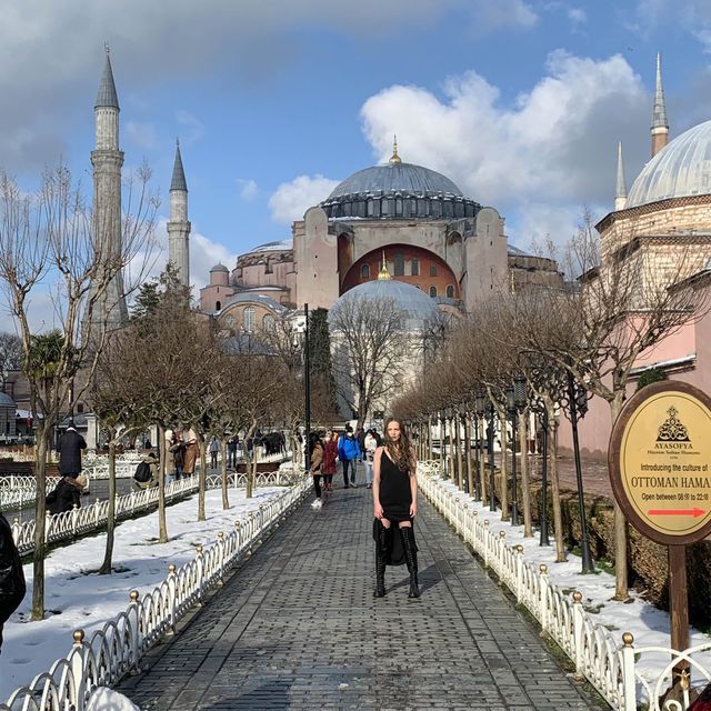 Istanbul Turkey features the Blue mosque.
