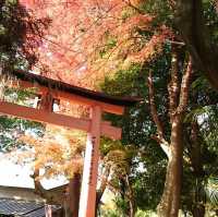 千本鳥居 伏見稻荷大社