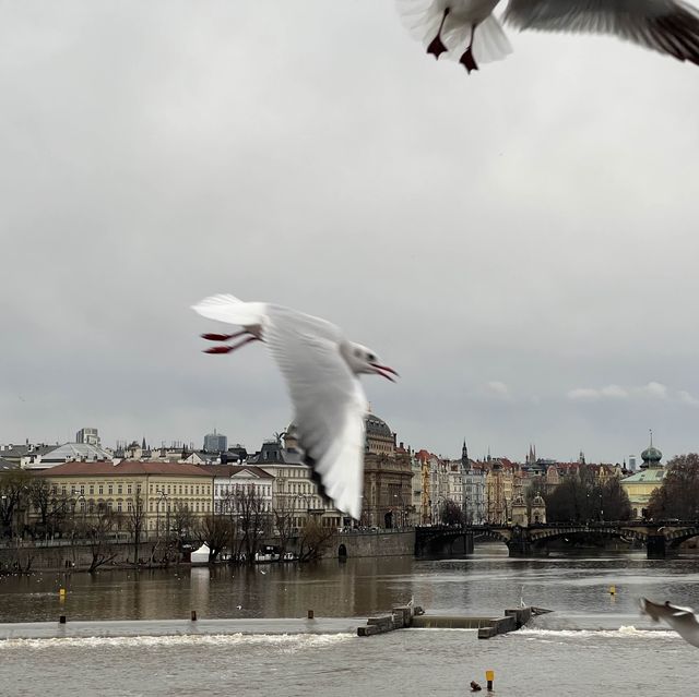 Old Town Prague: The Town that Never Aged