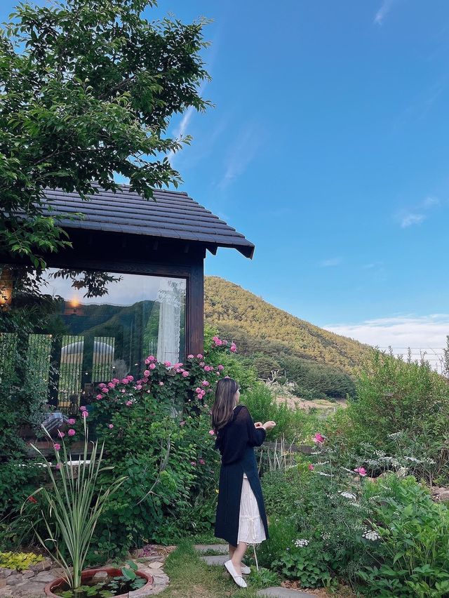 한국의 스위스라 불리는 아름다운 뷰 🏞