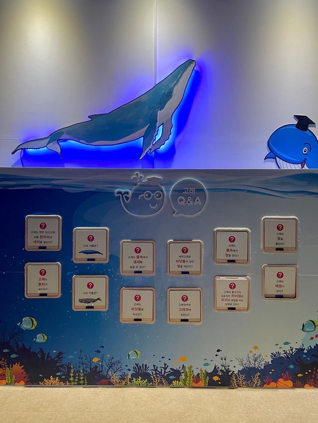 고래의 역사와 문화에 대해 한눈에 알아보는 고래 박물관🐳