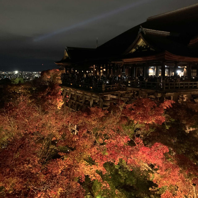 京都紅葉2022  清水寺のライトアップに圧倒される！