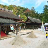【京都】初詣はパワースポットの上賀茂神社から