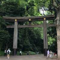 Moments at Meiji-Jingu Shrine, Tokyo