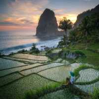 PANGASAN BEACH : PACITAN