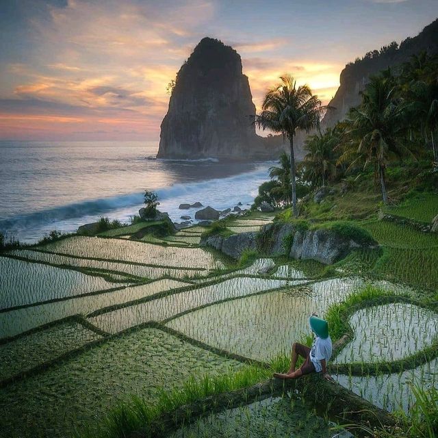 PANGASAN BEACH : PACITAN