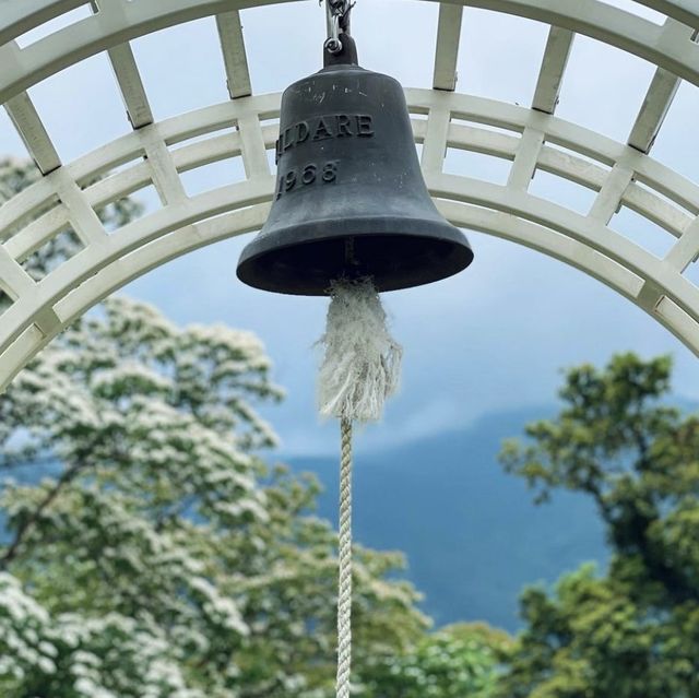 台中薰衣草森林