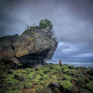 PIDAKAN BEACH - PACITAN