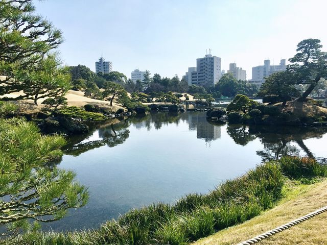 【熊本】水前寺公園で枝垂れ桜を鑑賞