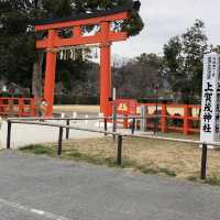 上賀茂神社⁉️