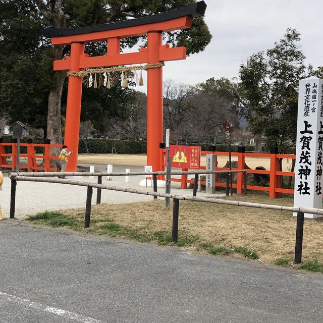 上賀茂神社⁉️
