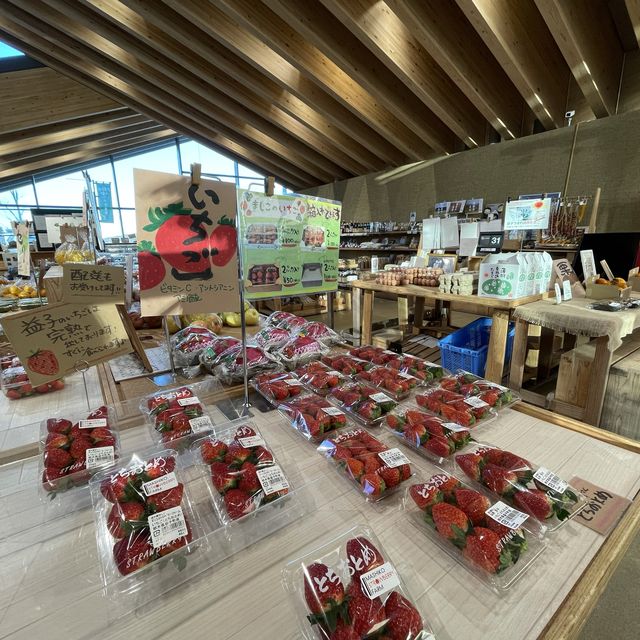 【栃木】オリジナル商品がいっぱい「道の駅 ましこ」