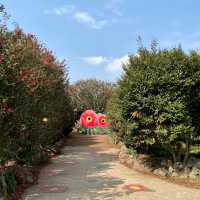 제주 파더스가든, 동백꽃 보러오세요🌺