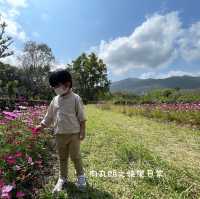【假子親子遊】與孩子森林漫步 🌳