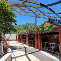 春季旅行 ~ 海洋公園萬豪酒店 