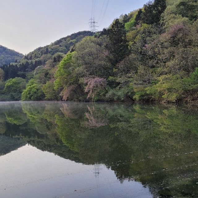 화순 세량제