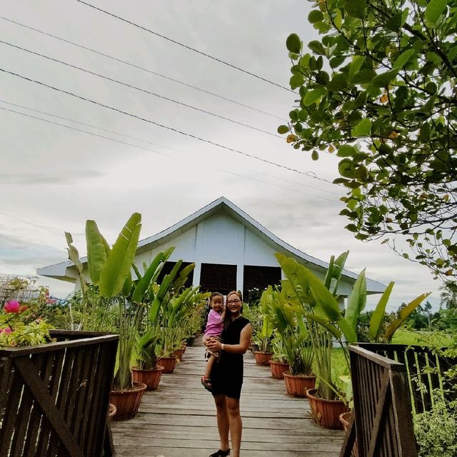 The Farm at Guinciaman😍