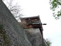 四國愛媛縣必參觀打卡的名城｜松山城