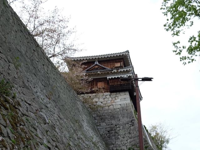 四國愛媛縣必參觀打卡的名城｜松山城