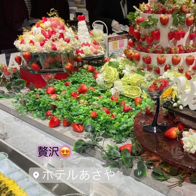 鬼怒川温泉旅行♨️