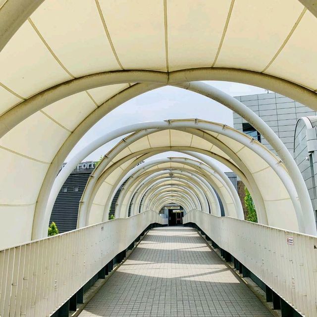 玩足一日的台場