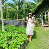 🏡บ้านไร่ ไออรุณ🌸🌺🌳