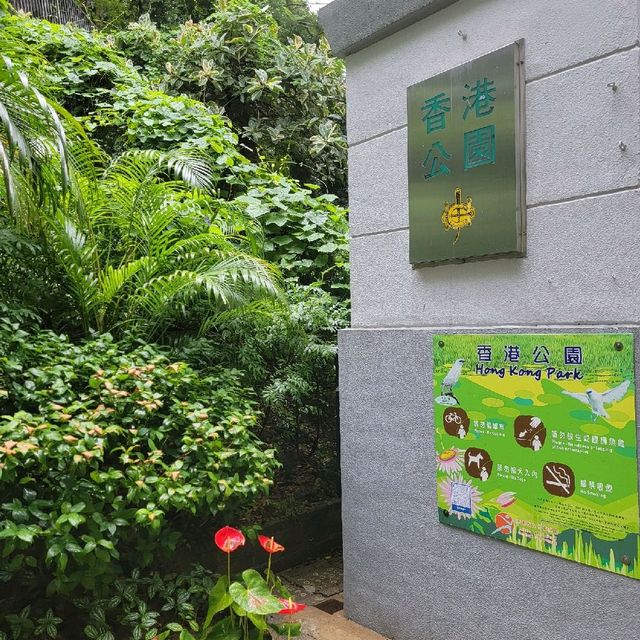 香港的城市綠洲🏕🏖