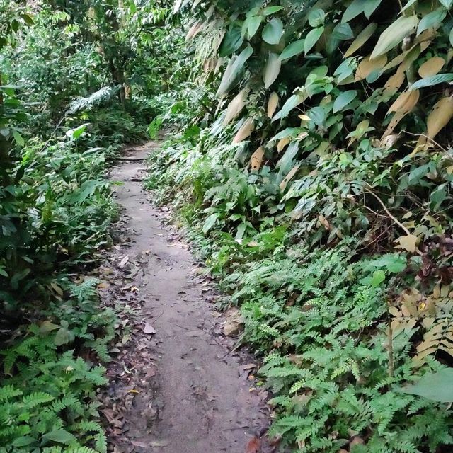 Walk in a park