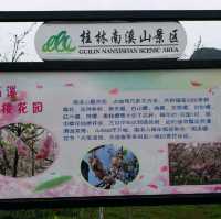 櫻花公園🌸🌸🌸