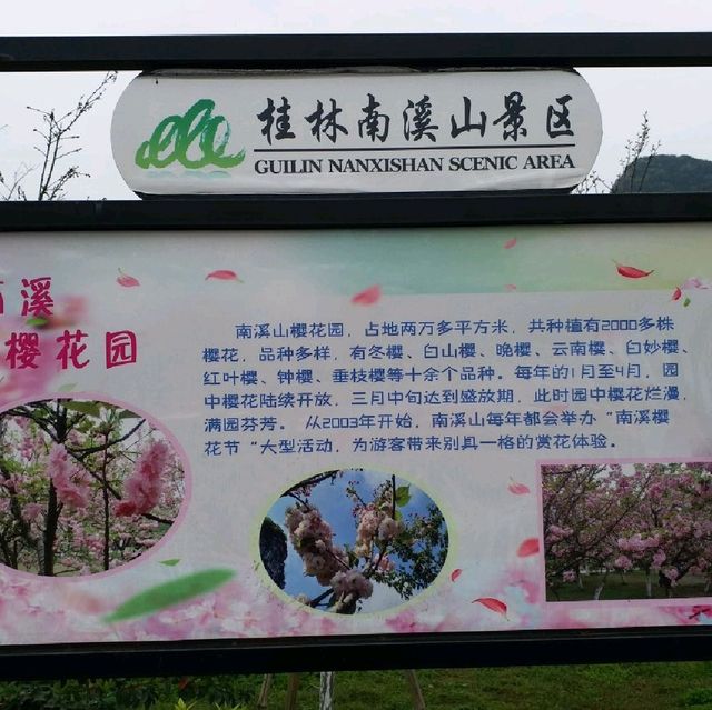 櫻花公園🌸🌸🌸
