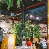 Knots Cafe & Living - Natrual dining