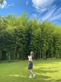 윤스테이 촬영지 구례 쌍산재🍃🌿