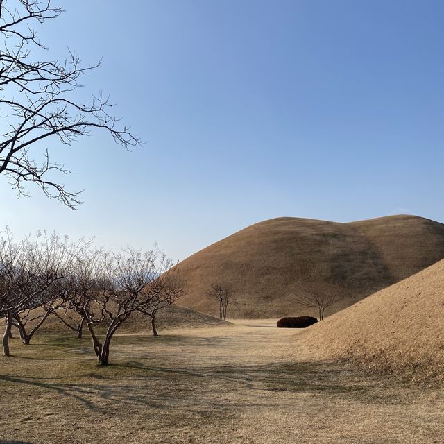 경주에 왔으면 대릉원 포토존은 꼭 !