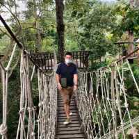 jungle coater 