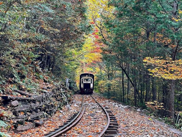 赤沢森林鉄道