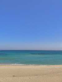 봉포해변 ( 바다뷰카페 추천까지)🌊💙