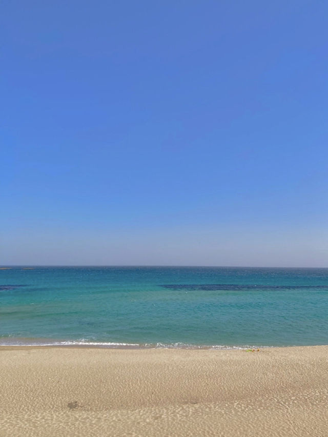 봉포해변 ( 바다뷰카페 추천까지)🌊💙