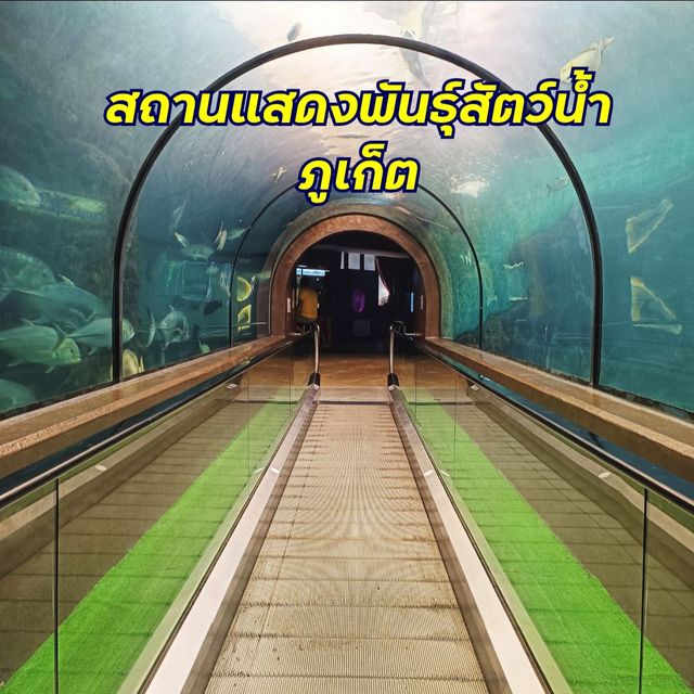 สถานแสดงพันธุ์สัตว์น้ำภูเก็ต