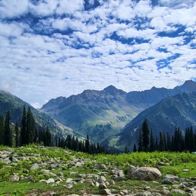 Kashmir Great Lakes Trekking