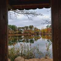 Autumn at Wuiyangji Pond