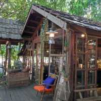 กาแฟในป่า ร้อยเอ็ด