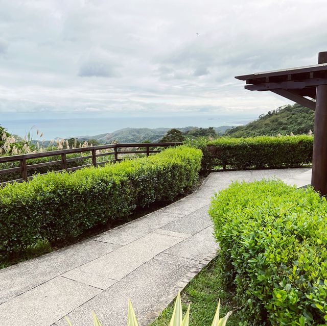 東部公路海岸風景區｜從高處看向一片東海岸的美景