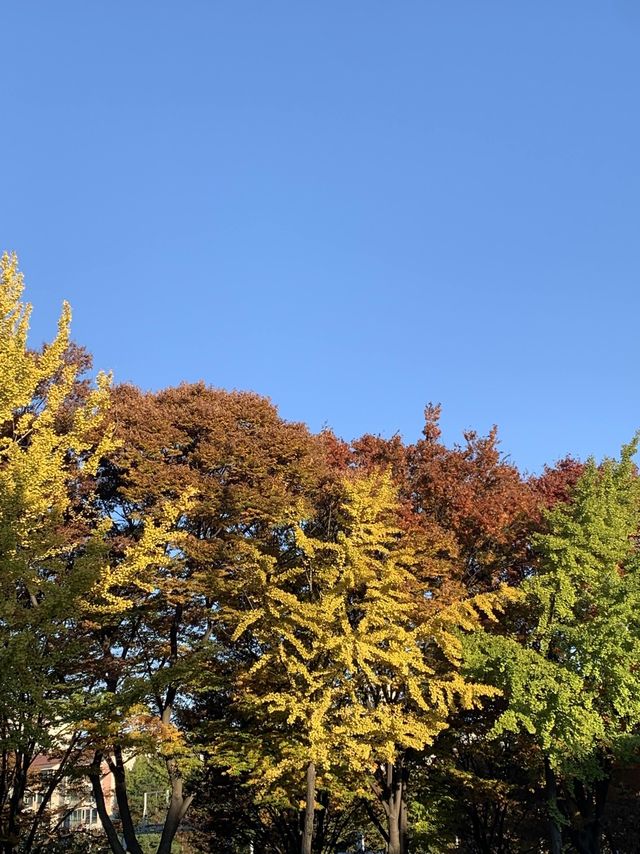 등산하는 이유=사진찍기.⛰