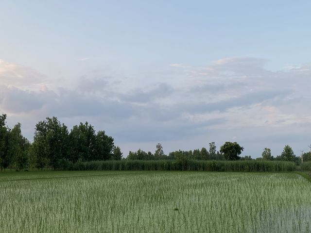 A remote Village of India 
