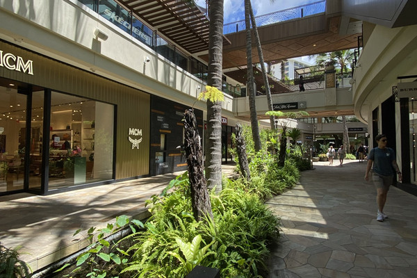 Sketchers shop ala moana
